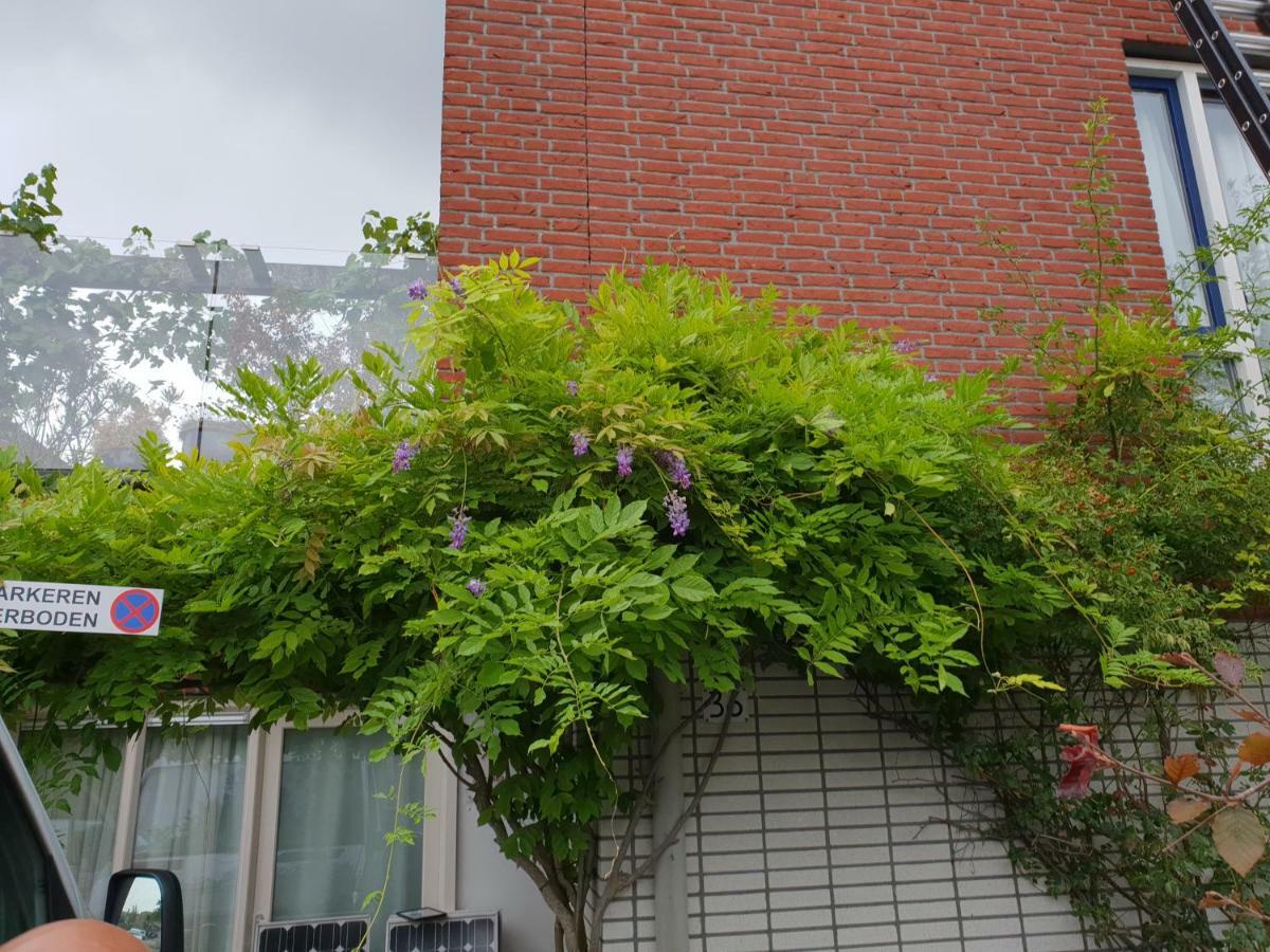 Johan'S B&B, Dakterras & Goedkoop Parkeren - Sinds 2014 Amsterdam Ngoại thất bức ảnh